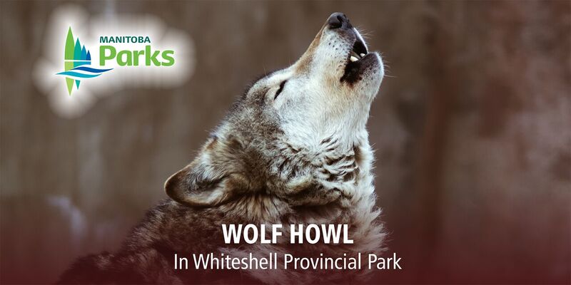 Wolf Howl - image