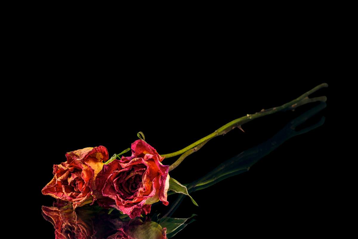 Brahms’ Ein Deutsches Requiem: 1871 London Piano Version - image