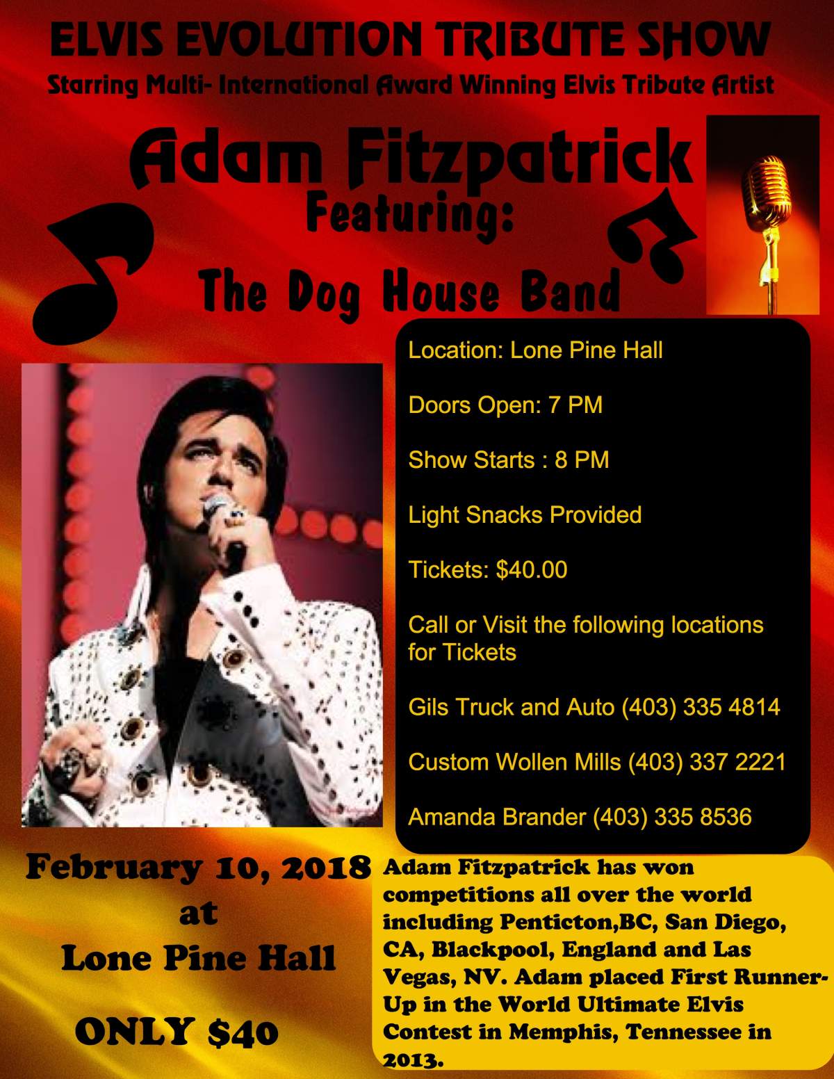 A Night with Elvis - image