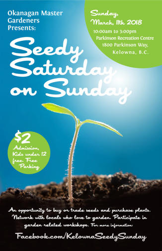 Seedy Saturday on Sunday - image