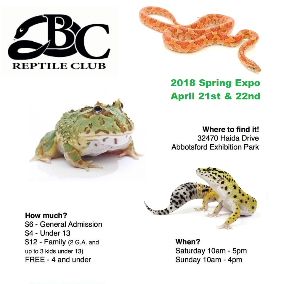 BC Reptile Club Spring Expo GlobalNews Events