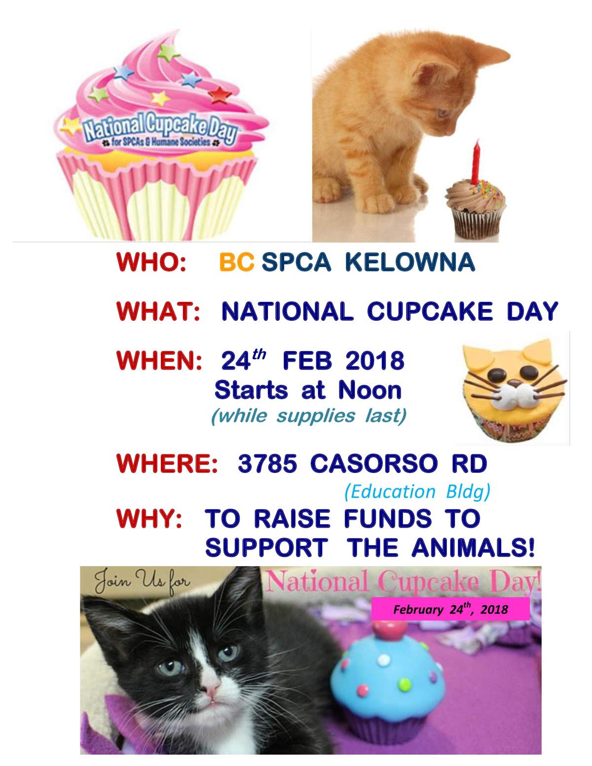 BC SPCA Kelowna National Cupcake Day Sale - image