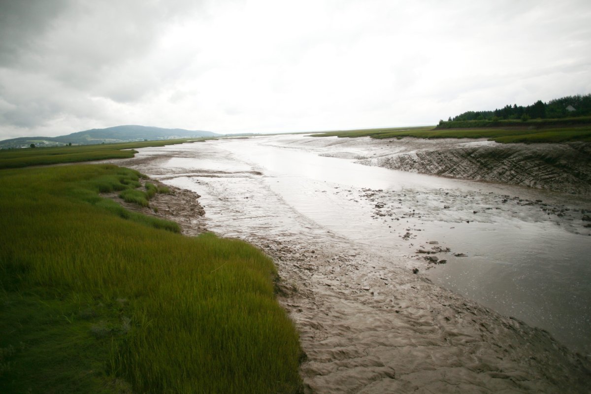 FILE - The Shepody River and its surrounding Wetlands in New Brunswick. 
