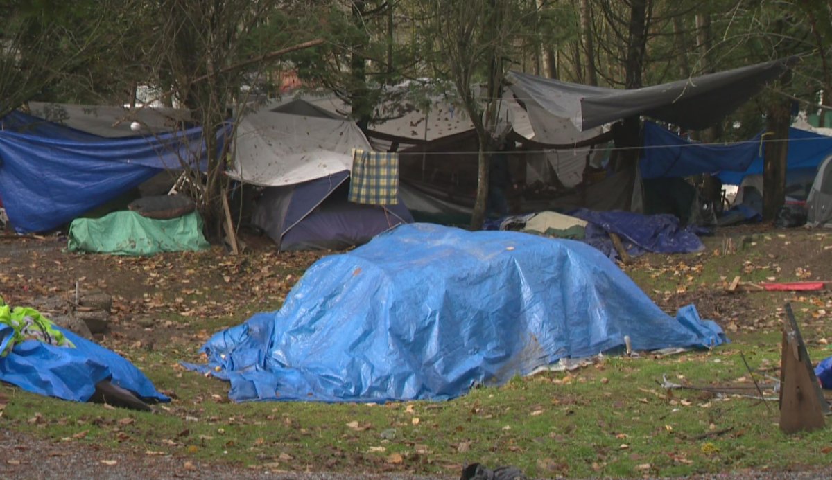 The provincial government has announced new plans to deal with homelessness in Maple Ridge.