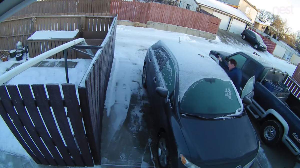 A frame of video depicts an Edmonton man discovering a would-be thief in his vehicle and attempting to drag him out.