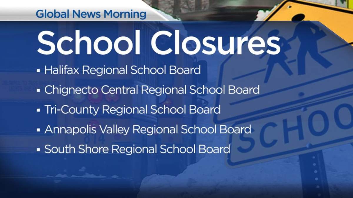 Storm closures in Nova Scotia as severe winter weather predicted for province - image