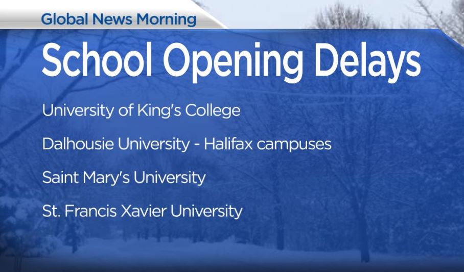 Winter storm in Halifax area brings delays, cancellations and closures - image