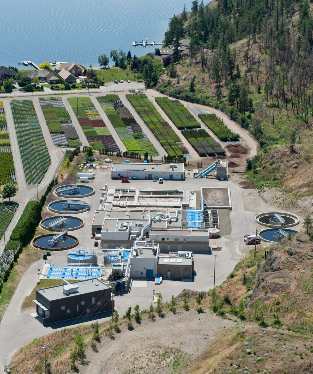 West Kelowna park impacted by wastewater improvement project - image