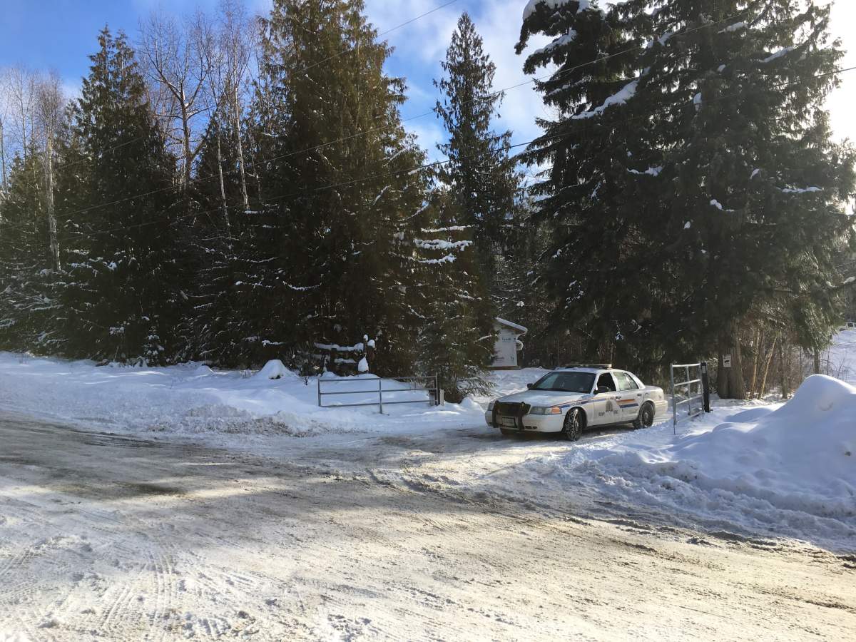 A Falkland homeowner was allegedly shot in the leg when he returned to his house to find a burglary in process. 