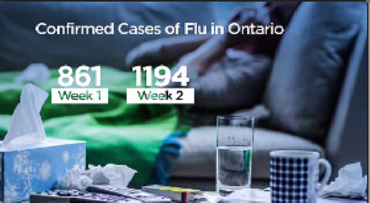 Between the first and second weeks of 2018, the number of confirmed flu cases in the province have risen from 861 to 1,194, according to the Ontario Ministry of Health's flu report.