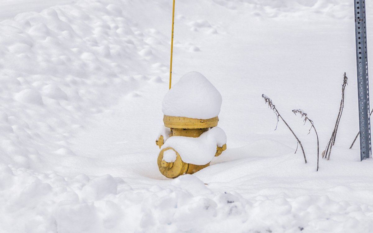 After heavy snowfall, London fire officials ask residents to dig out fire hydrants - image