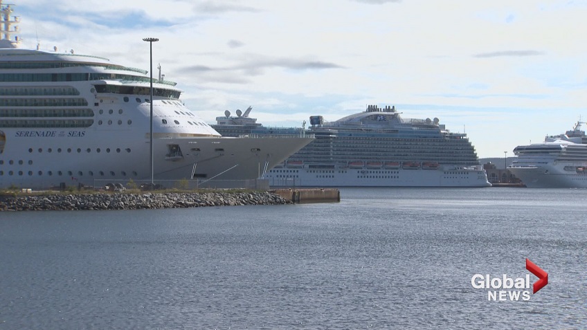 Transport Minister Marc Garneau announced updated measures for large cruise ships on Friday, May 29, 2020.
