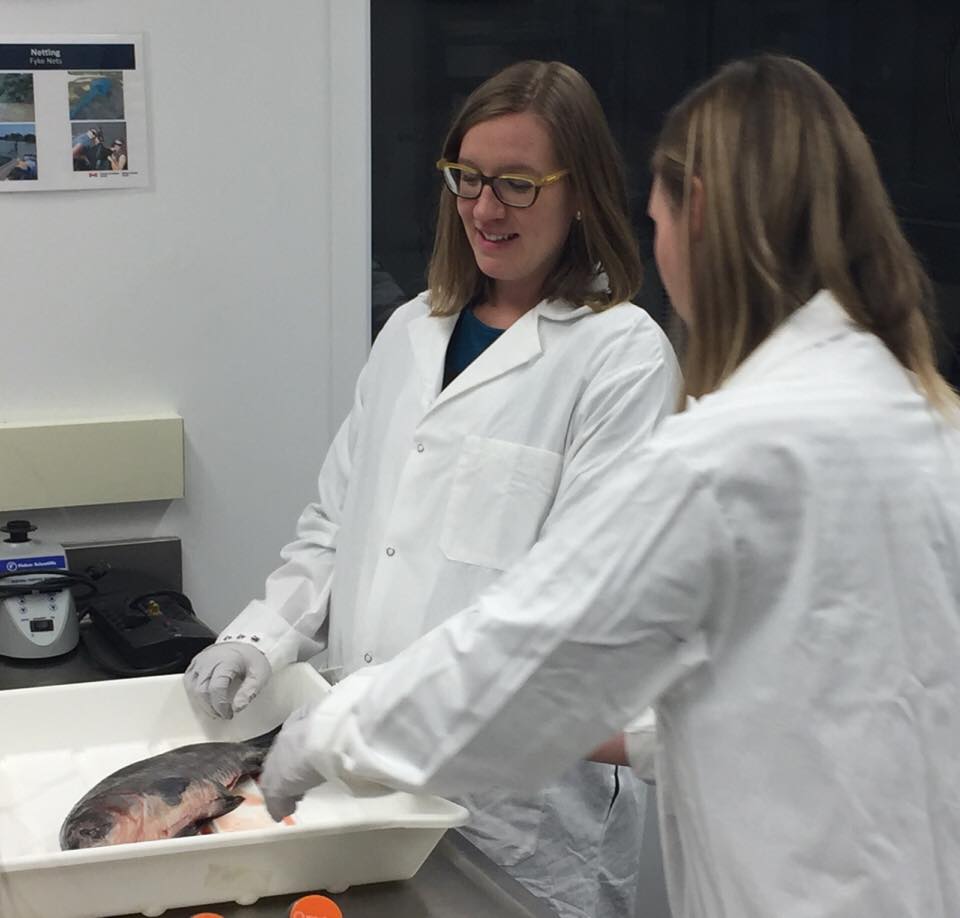 MP Karina Gould examines Asian carp specimen at Canada Centre for Inland Waters.