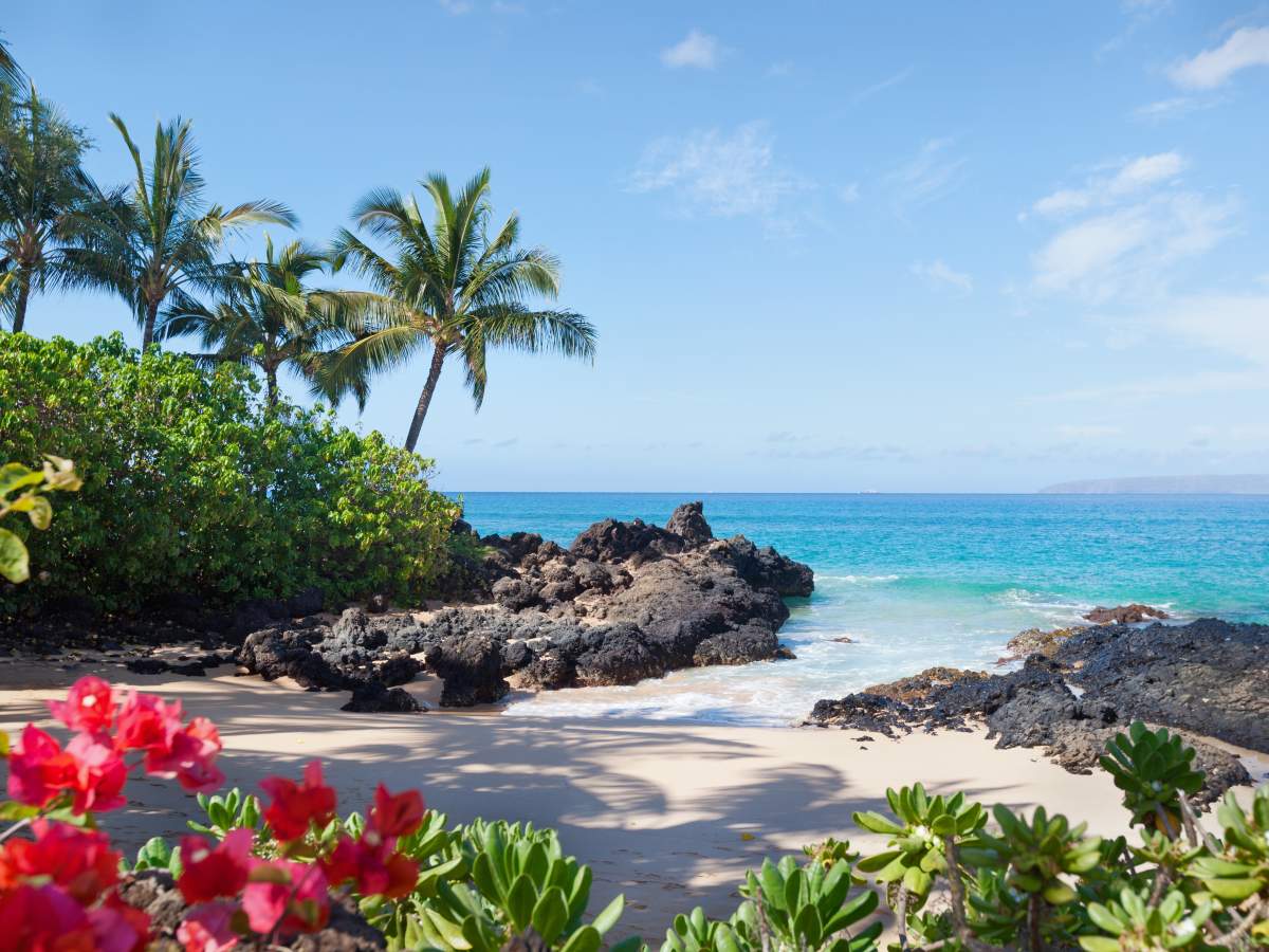 10 Zika-free beach destinations to visit in 2018 - image