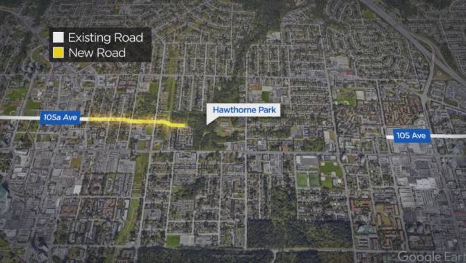 Tree removal begins in Surrey’s Hawthorne Park amid protests - image