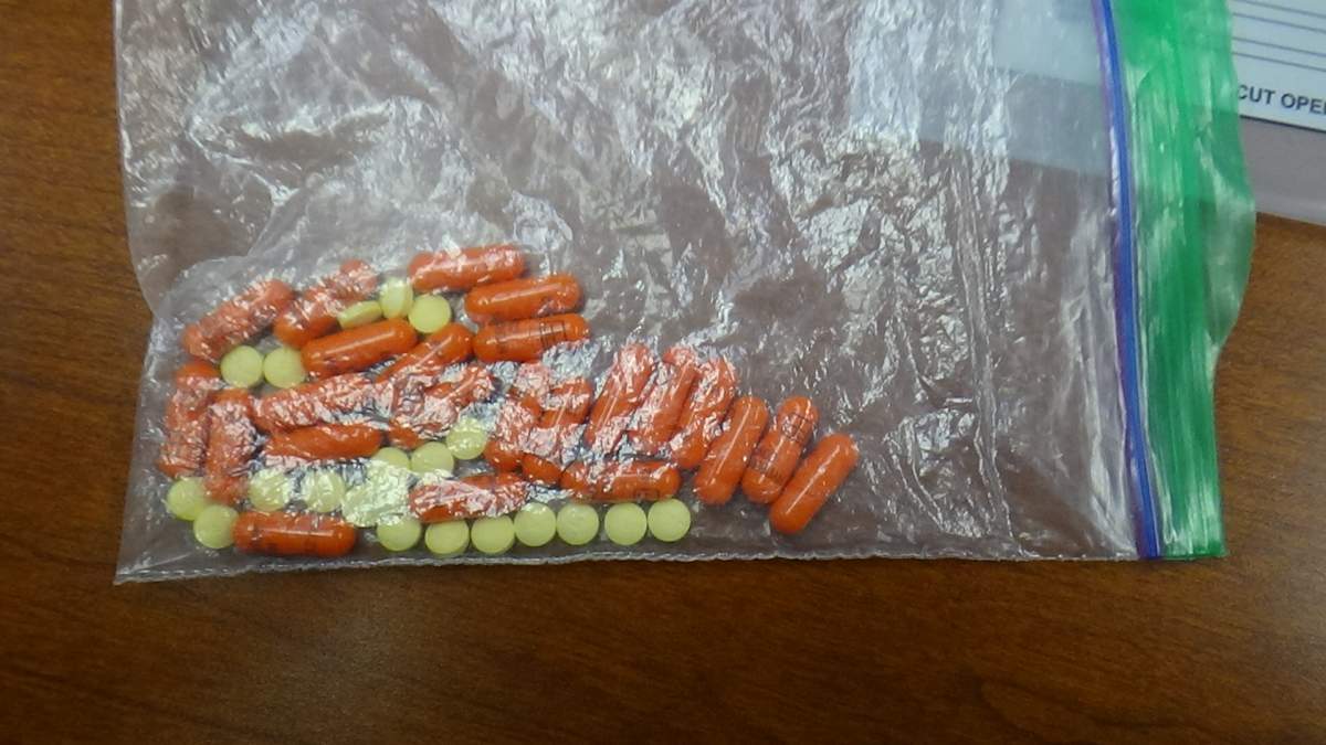 Hydromorphone pills seized from the pickup truck.