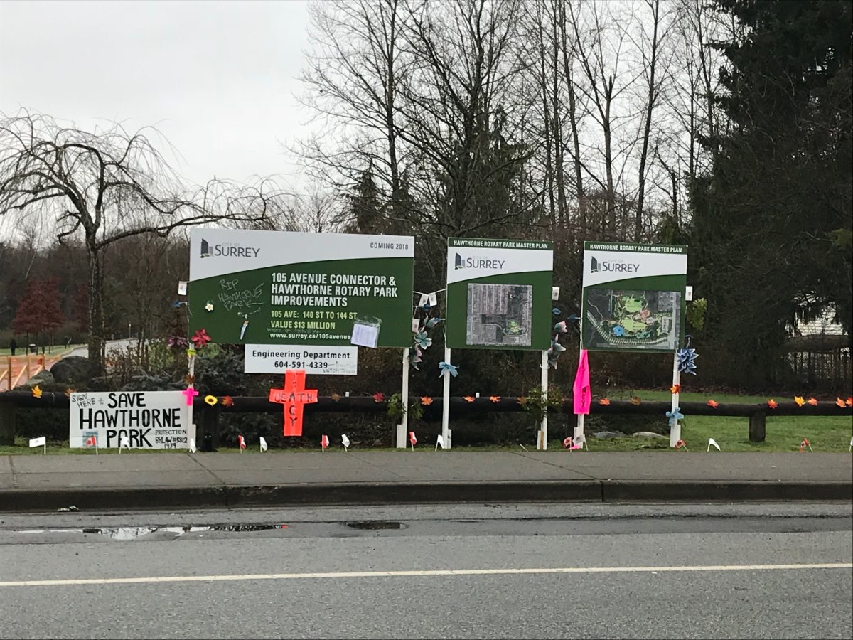 ‘It’s very traumatizing,’ says Surrey resident as city cuts last trees for Hawthorne Park road - image
