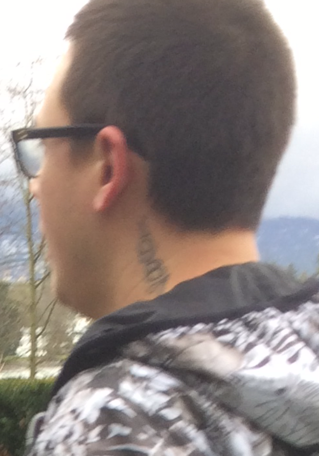 Vancouver man’s pet killed in Seawall attack; search on for off-leash dog owner who left scene - image