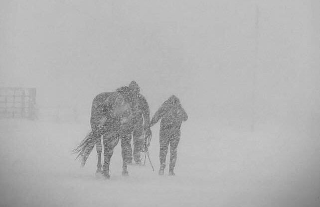 Environment Canada says a Colorado Low will arrive in southern Manitoba Tuesday night, bringing with it between 20 to 40 centimeters of snow which will continue into Wednesday.