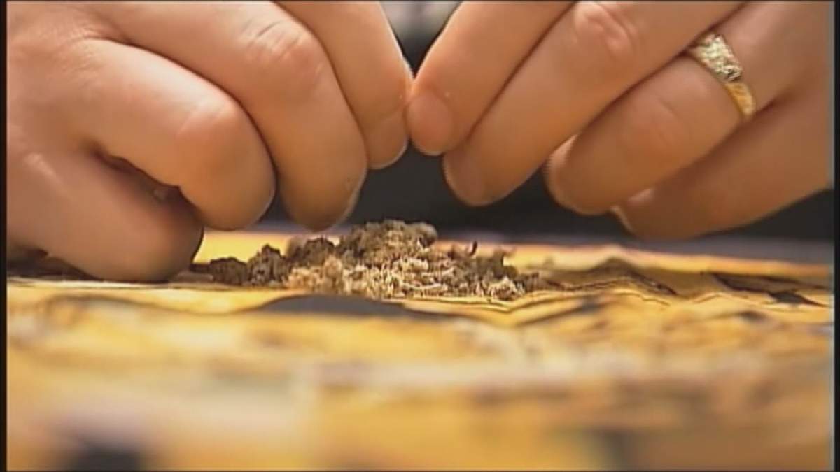 The Tragically Hip have released a statement backing Newstrike Resources’ deal to be acquired by CanniMed Therapeutics.