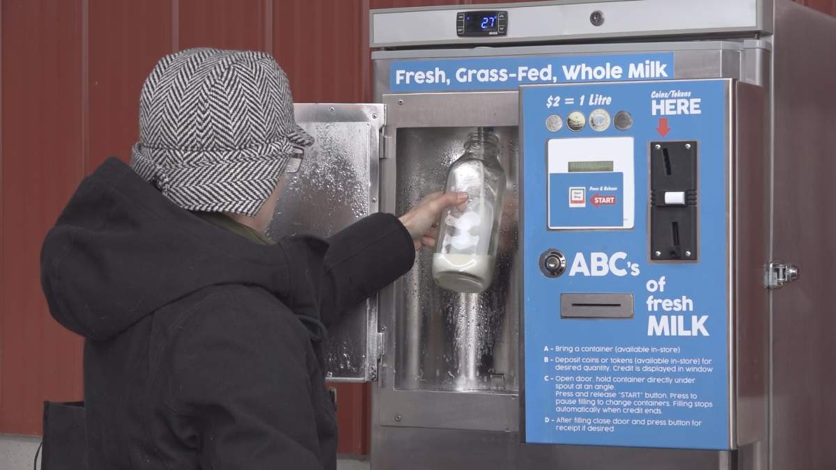 A customer fills up milk at Morningstar Farm.