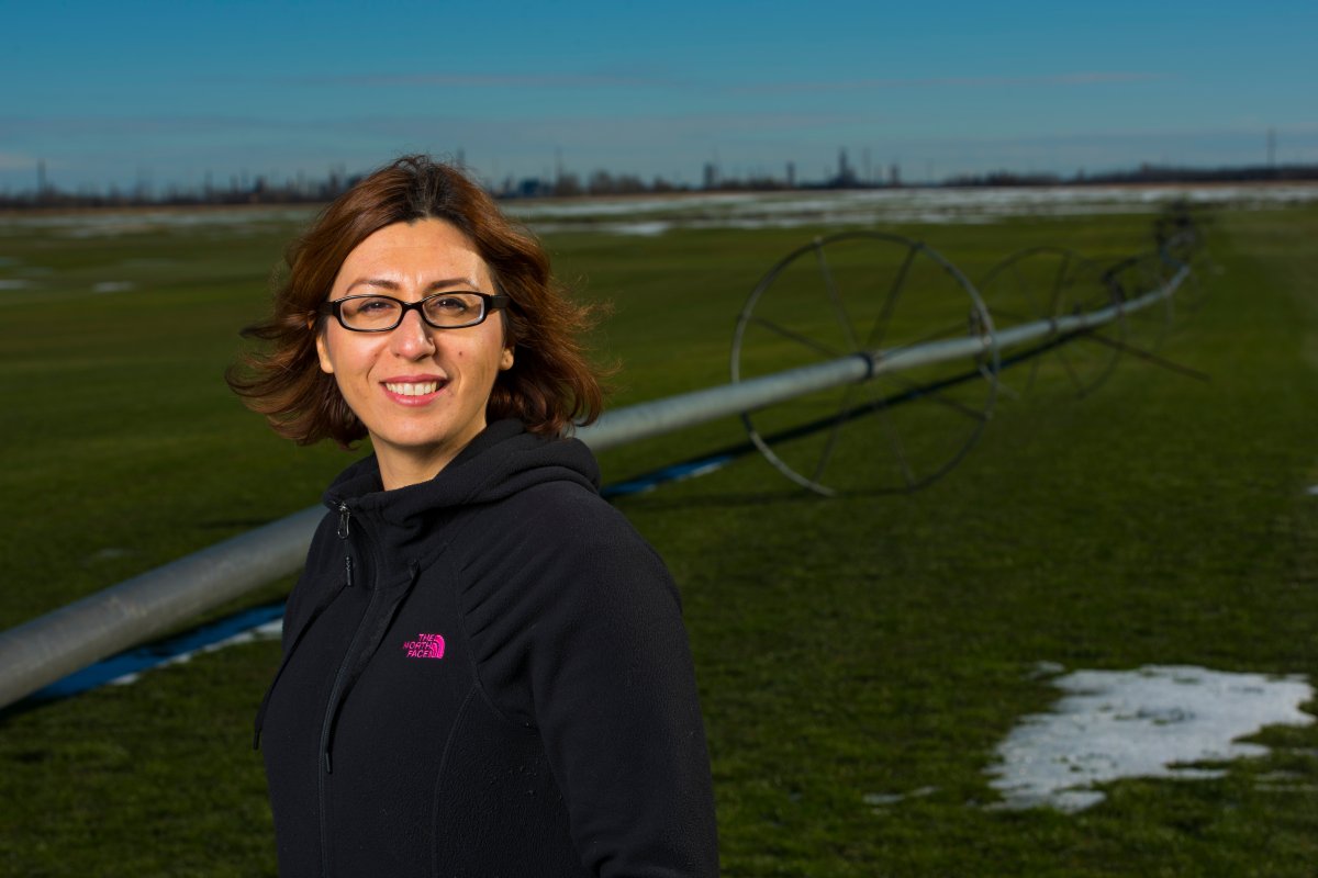 Monireh Faramarzi, lead researcher on a University of Alberta study looking into future barley yields and climate change. Pictured in Fort Saskatchewan on Oct. 18, 2016.