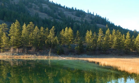 Website launched on a proposed national park reserve in south Okanagan - image