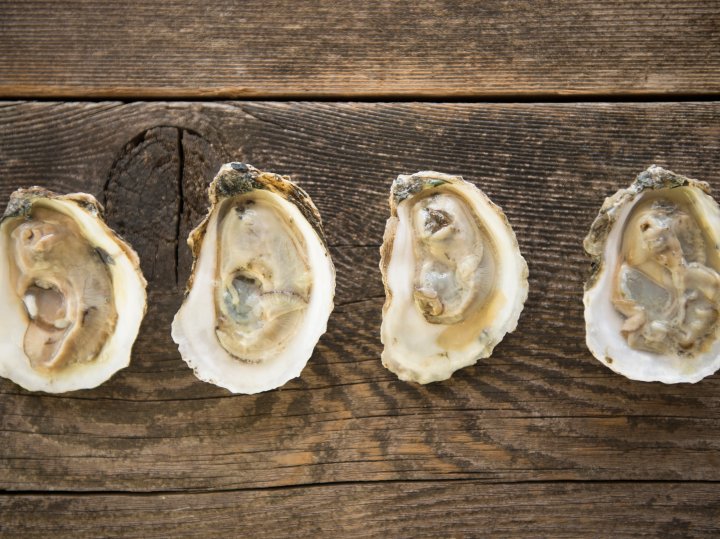 N.B. declares outbreak of shellfish bacteria causing gastrointestinal