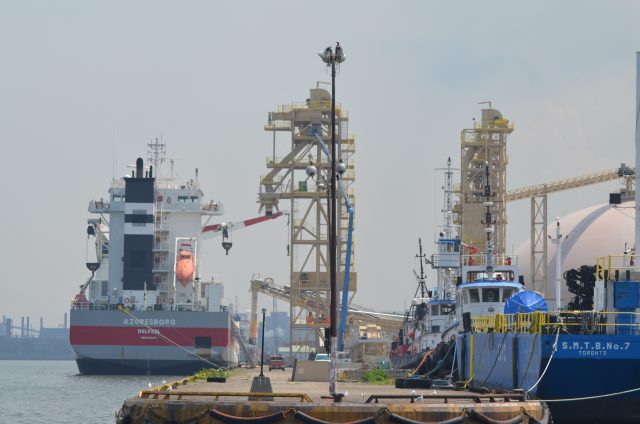 Agricultural shipments now make up 23 per cent of the Port of Hamilton's total, doubling since 2010.