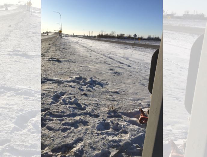 A Winnipeg woman made a gruesome discovery while driving along Rte. 190 Jan. 4.