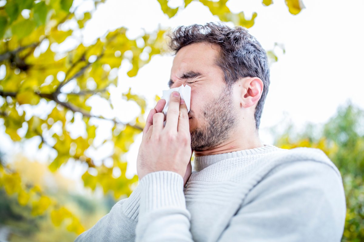 Hamilton public health hoping for a milder flu season - image