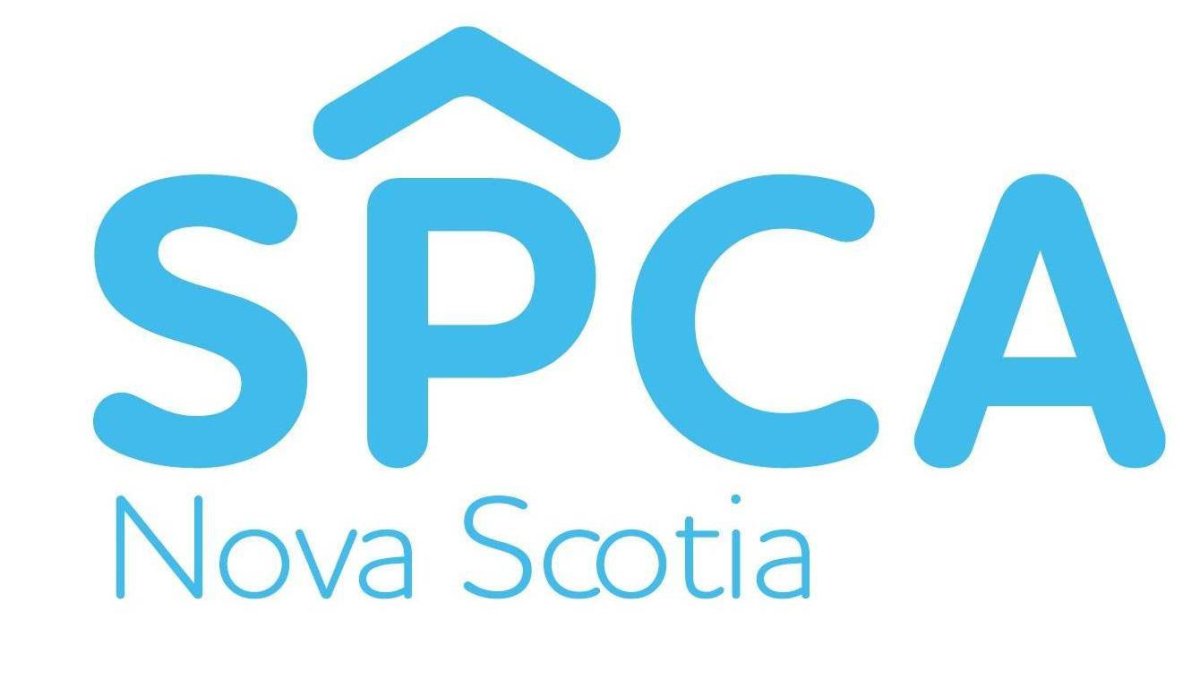 The SPCA is investigating after a pet store employee in New Minas, N.S., was attacked by a dog on Saturday.