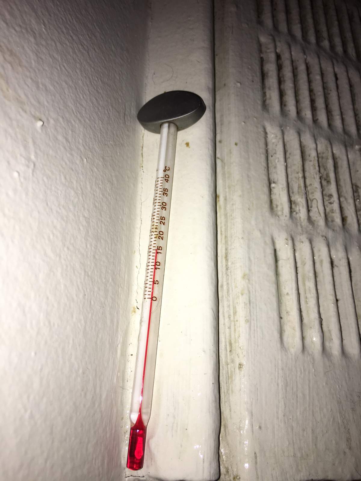 Linda Cotovanu’s apartment’s thermometer reads 15 C on Monday, Jan. 8, 2017.