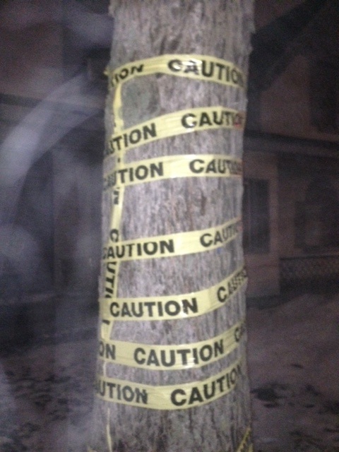 Yellow caution tape wrapped around a tree on a BRT route in London, ON.