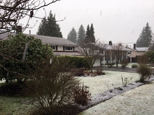 Wet snow sticking in Coquitlam earlier in January. 