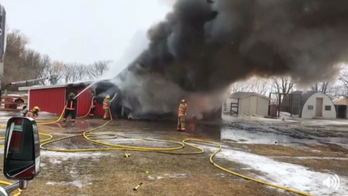 Multiple pets die in barn fire outside Winkler, Manitoba - image