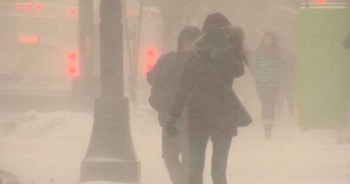 Unsheltered in Winnipeg winter: Woman found unresponsive at bus shelter Monday sparks conversation – Winnipeg