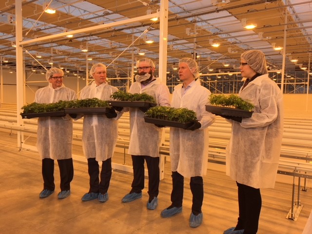 The Aurora Sky facility being built by Aurora Cannabis at the Edmonton International Airport on Feb. 5, 2018.