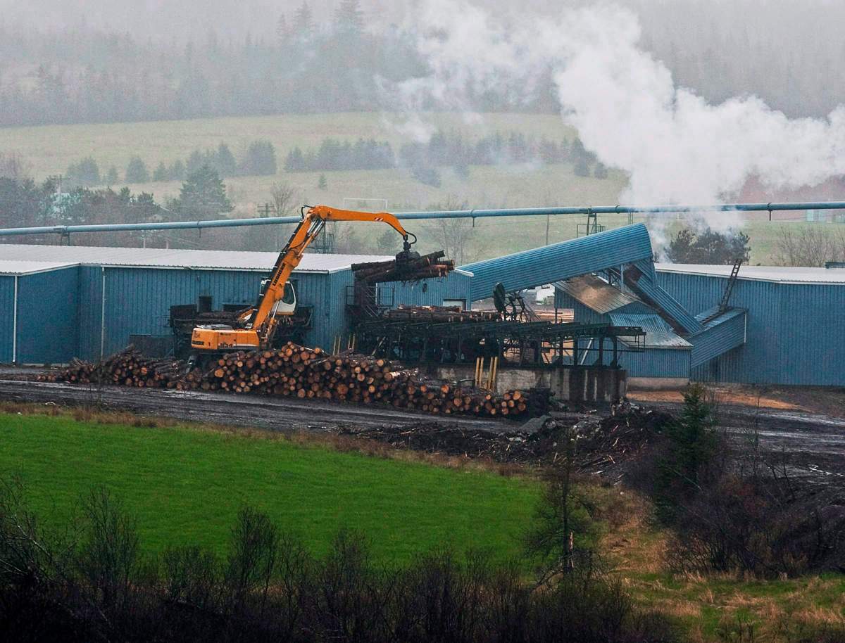 Workers unload logs at the Taylor Lumber Company site in Middle Musquodoboit on Tuesday, May 10, 2011. 