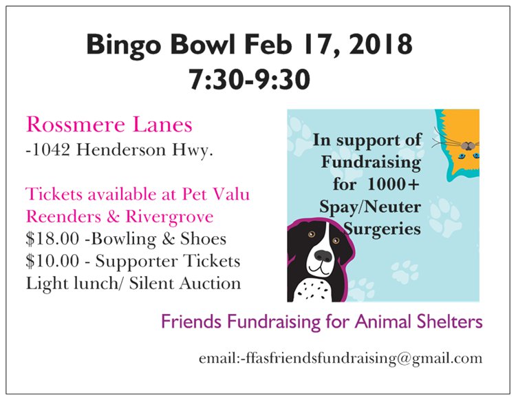 Bingo Bowl-Feb 17 - image
