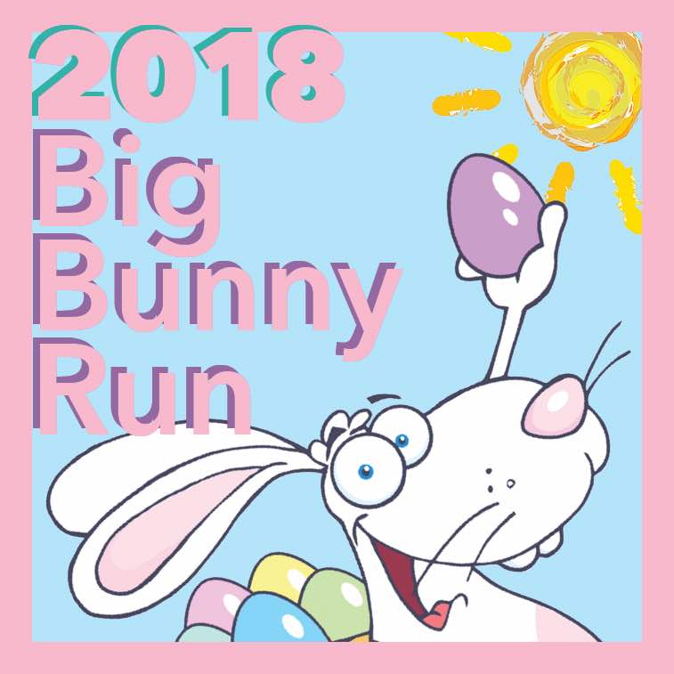 Big Bunny Run - image