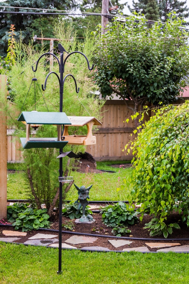 How to Make Your Yard More Wildlife Friendly - image