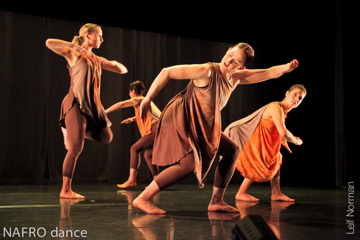 NAfro Dance Productions YOFANANA - image