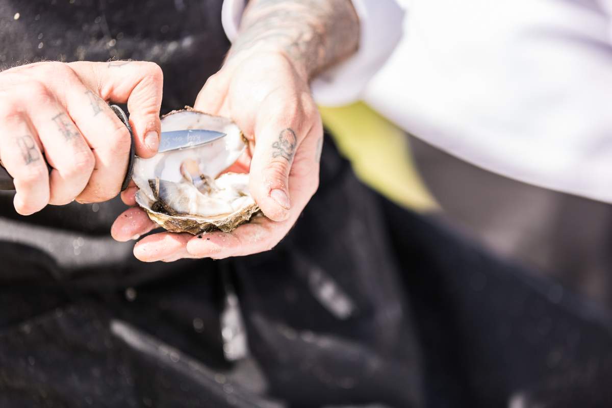 Fifty-eight Manitoba businesses have been dinged for health code violations.