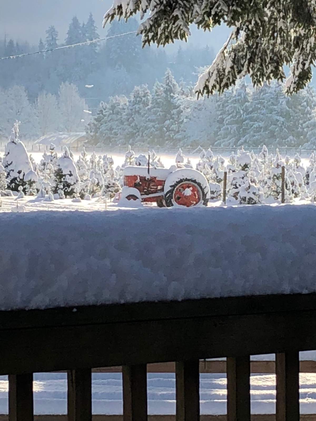In photos: Snow blankets B.C.’s South Coast - image