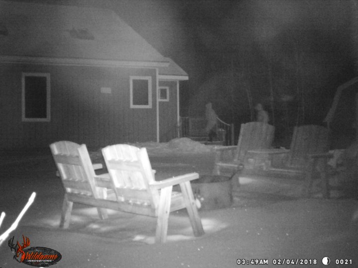 ‘I lost everything’ thieves break in, set ‘dream home’ on fire in