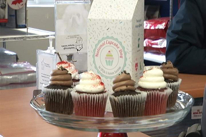 Monday, Feb. 26, marks Cupcake Day in the Peterborough region, to raise money for the OSPCA and the local shelter.