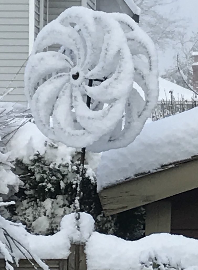 In photos: Snow blankets B.C.’s South Coast - image