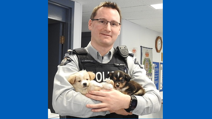 Lynn Lake RCMP Sgt. Kyle McFadyen poses with the two puppies he and partner Const. Lisa Evans rescued. 