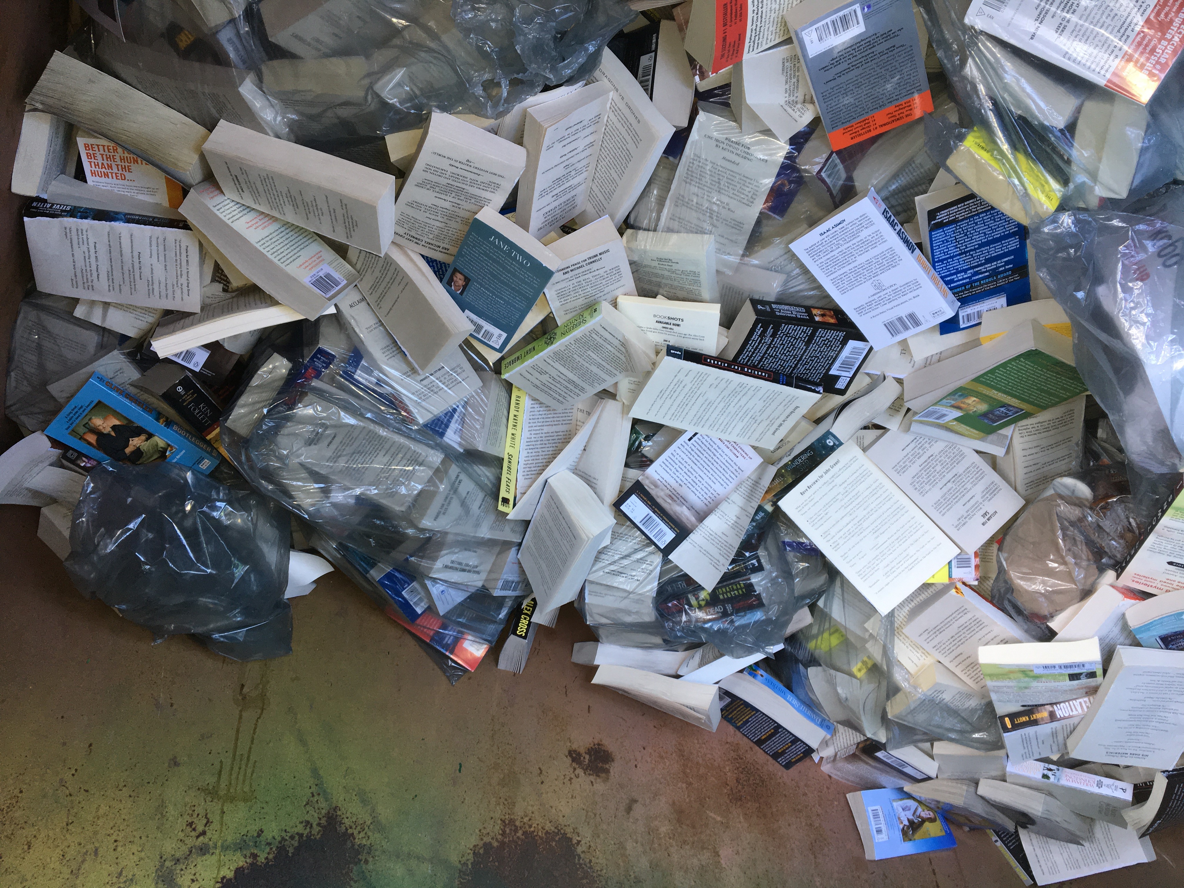 Calgary Family Disheartened To Find Thousands Of New Books Tossed In Bin Outside Chapters Globalnews Ca